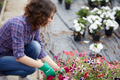 Customer complaint review for landscaping service