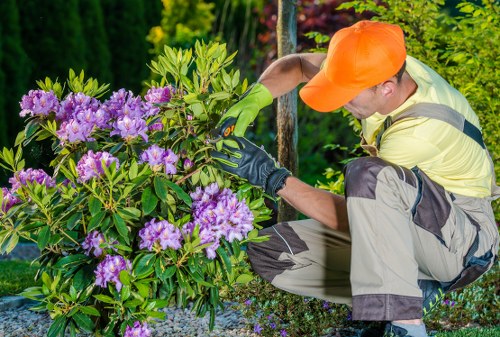 Detailed hedge trimming and shaping in Blackwall garden space