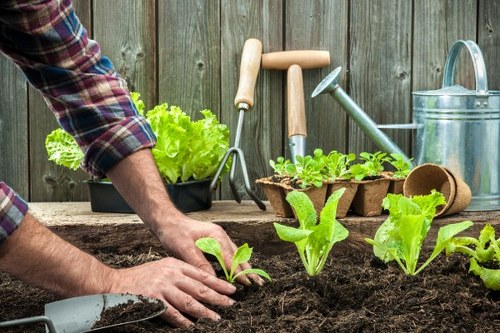 Professional landscaping features in Blackwall including patio and raised beds