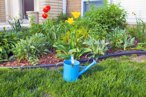 Garden maintenance in Blackwall with tidy lawn and plants