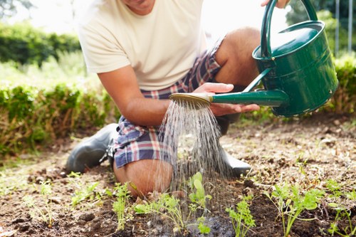 Patio and planting work by landscape gardeners in Blackwall
