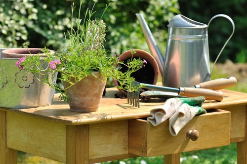 Blackwall landscapers planning a stylish outdoor space with planting and paving
