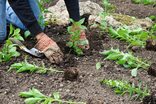 Annual review of Landscapers Blackwall modern slavery controls