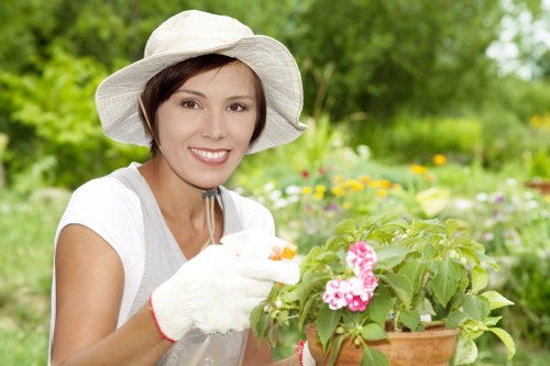Site inspection related to a landscaping complaint