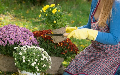 Thoughtful Blackwall landscape design with quality materials