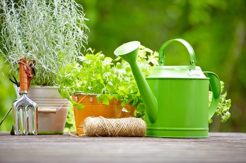 Blackwall garden design featuring compact outdoor space and structured greenery
