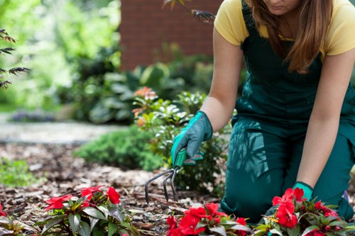 Landscapers Blackwall finishing a balanced and lasting garden
