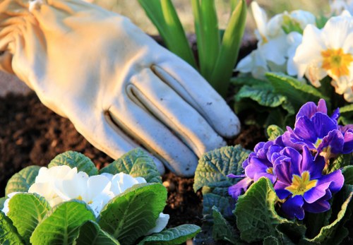 Supplier audit checks for labour rights in Blackwall landscaping supply chains
