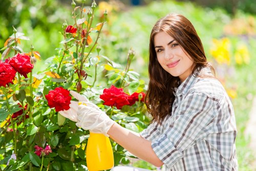 Accepted card and PayPal payment options for landscaping services