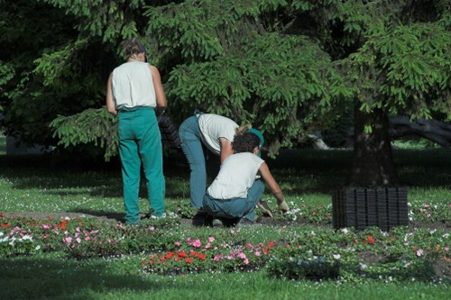 Professional Blackwall landscapers improving a modern garden