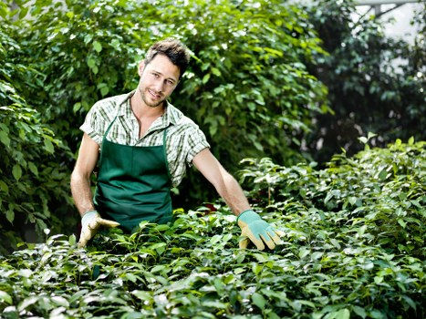 Staff training in safe landscaping practices and waste handling procedures