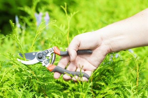 Removal of branches and green waste during garden clearance