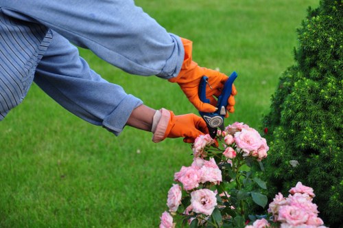 Free quote discussion for Blackwall landscaper waste removal