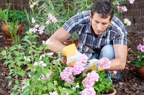 Preparing a Blackwall garden for professional clearance