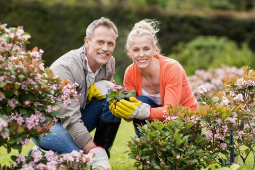 Soil preparation and healthy plant installation in Blackwall